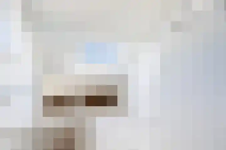 Heemlaan 9 Piershil thumbnail 29