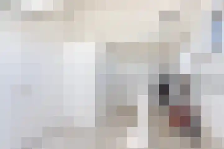 Heemlaan 9 Piershil thumbnail 30