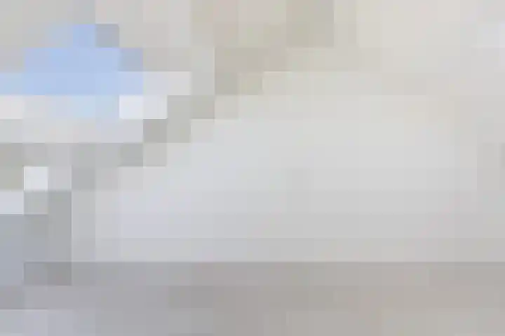 Heemlaan 9 Piershil thumbnail 31