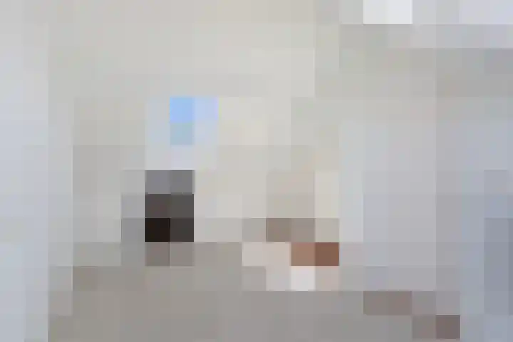 Heemlaan 9 Piershil thumbnail 32