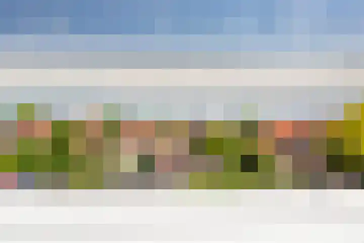 Heemlaan 9 Piershil thumbnail 35