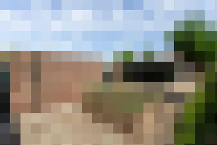 Heemlaan 9 Piershil thumbnail 36