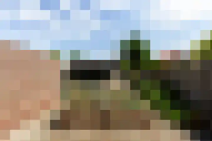 Heemlaan 9 Piershil thumbnail 37