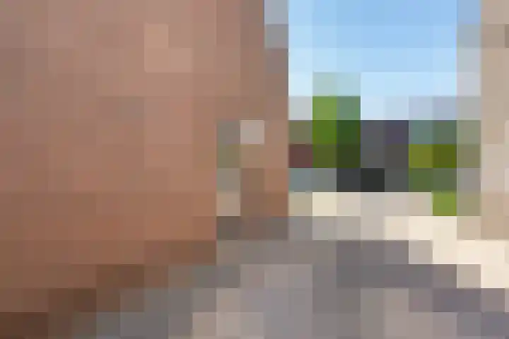 Heemlaan 9 Piershil thumbnail 4