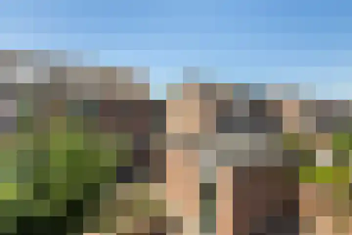 Heemlaan 9 Piershil thumbnail 41