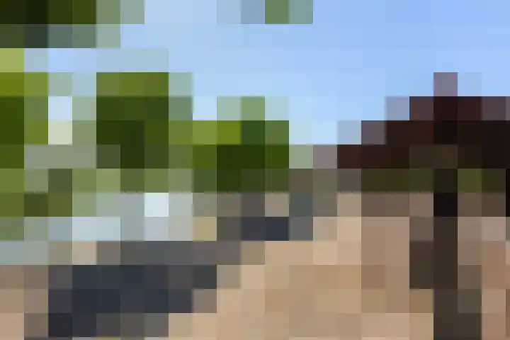 Heemlaan 9 Piershil thumbnail 44
