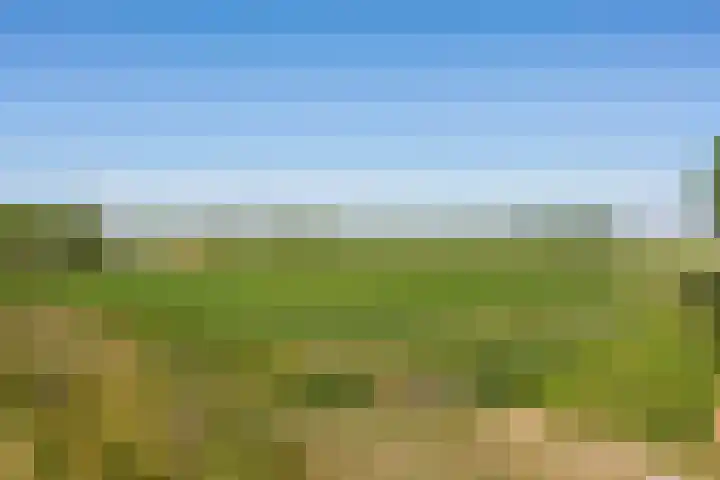 Heemlaan 9 Piershil thumbnail 47