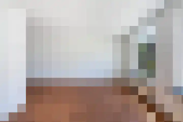 Heemlaan 9 Piershil thumbnail 9