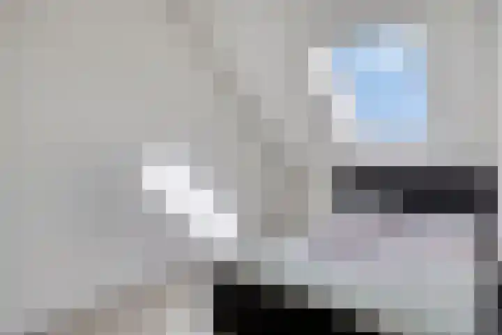Heemraad 16 Zierikzee thumbnail 22