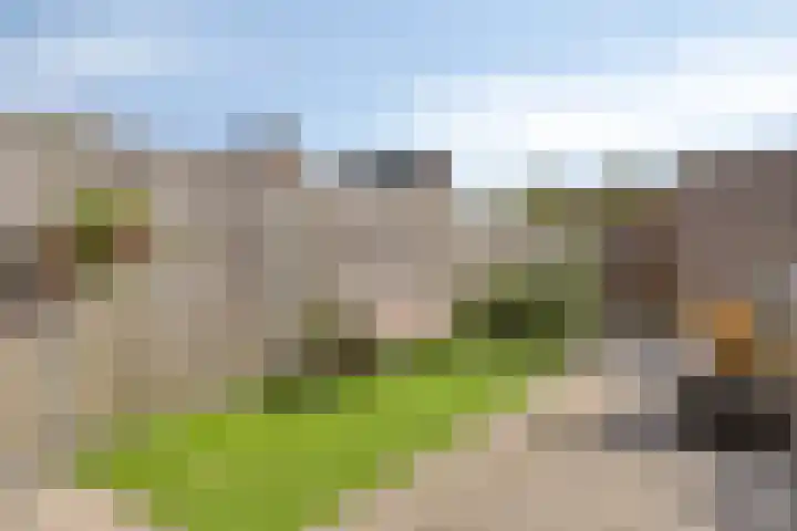 Heemraad 16 Zierikzee thumbnail 26