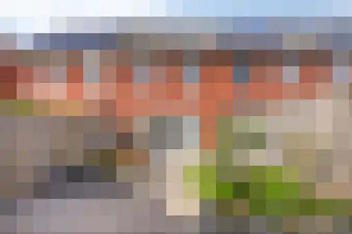 Heemraad 16 Zierikzee thumbnail 28