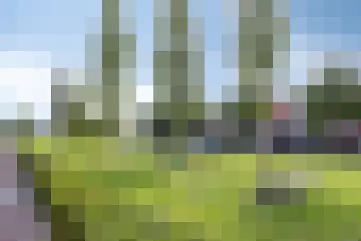 Heemraad 16 Zierikzee thumbnail 31