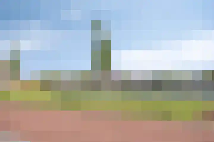 Heemraad 16 Zierikzee thumbnail 32