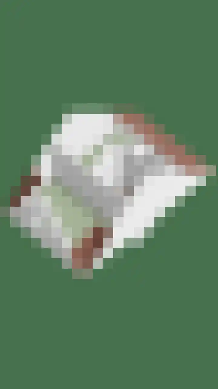 Heemraad 16 Zierikzee thumbnail 38