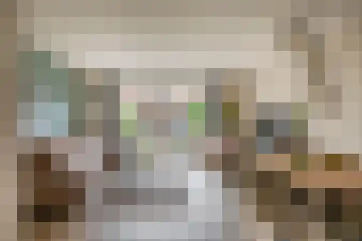 Heemraad 23 Brielle thumbnail 13