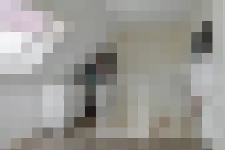 Heemraad 23 Brielle thumbnail 35
