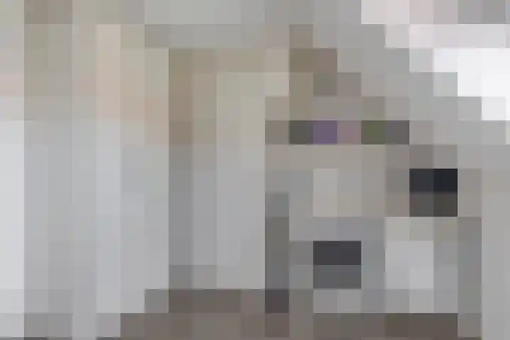 Heemraad 23 Brielle thumbnail 36