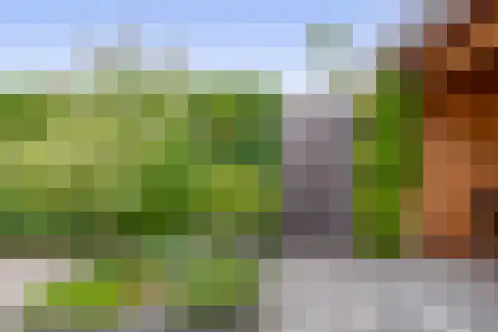 Heemraad 23 Brielle thumbnail 45
