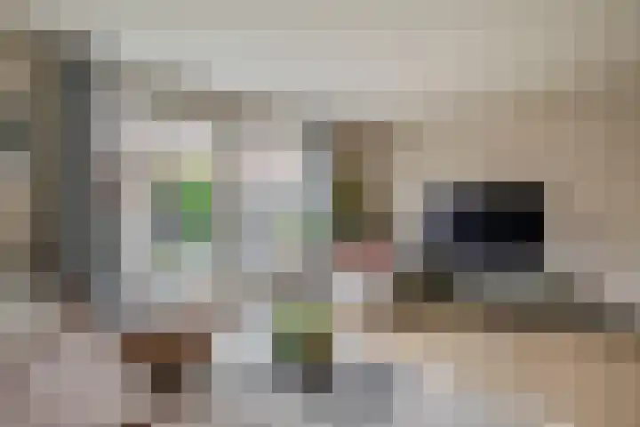 Heemraad 23 Brielle thumbnail 8