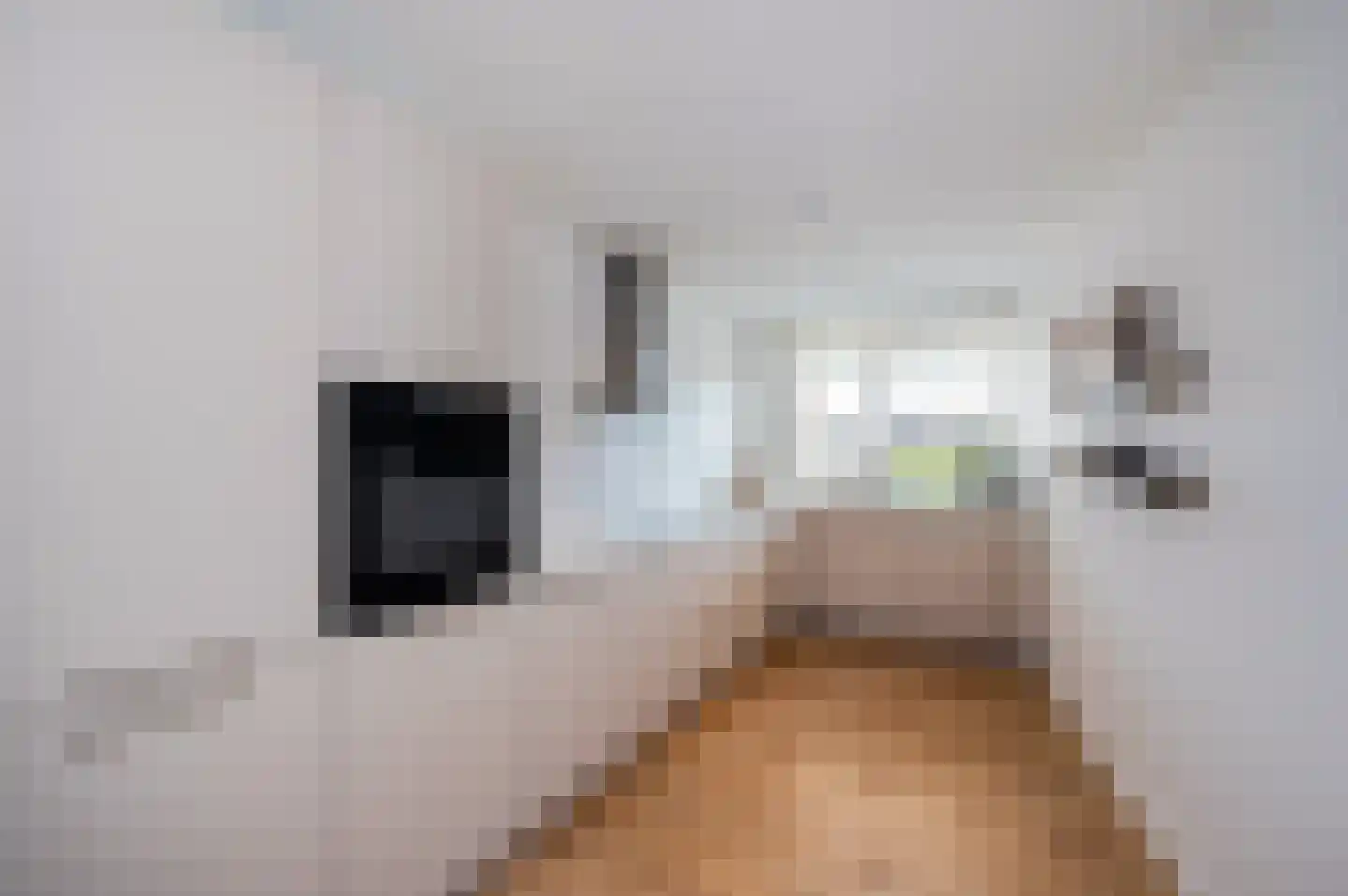 Heemraad 24 Alphen aan den Rijn thumbnail 6