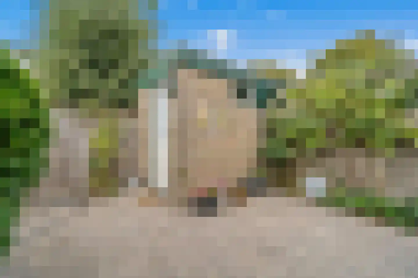 Heemraad 35 Maasland thumbnail 21