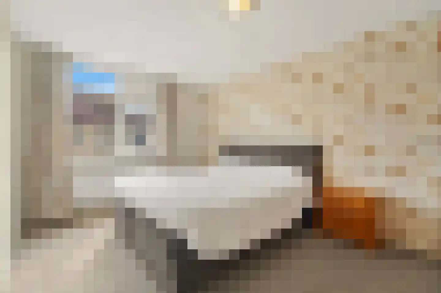Heemraad 35 Maasland thumbnail 24