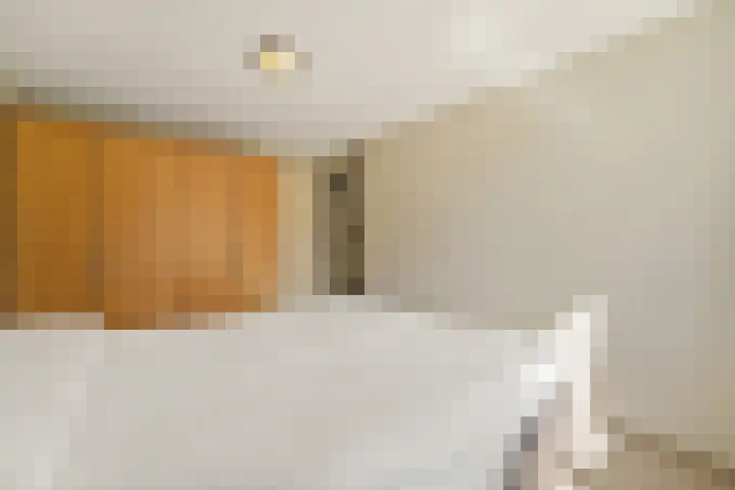 Heemraad 35 Maasland thumbnail 25