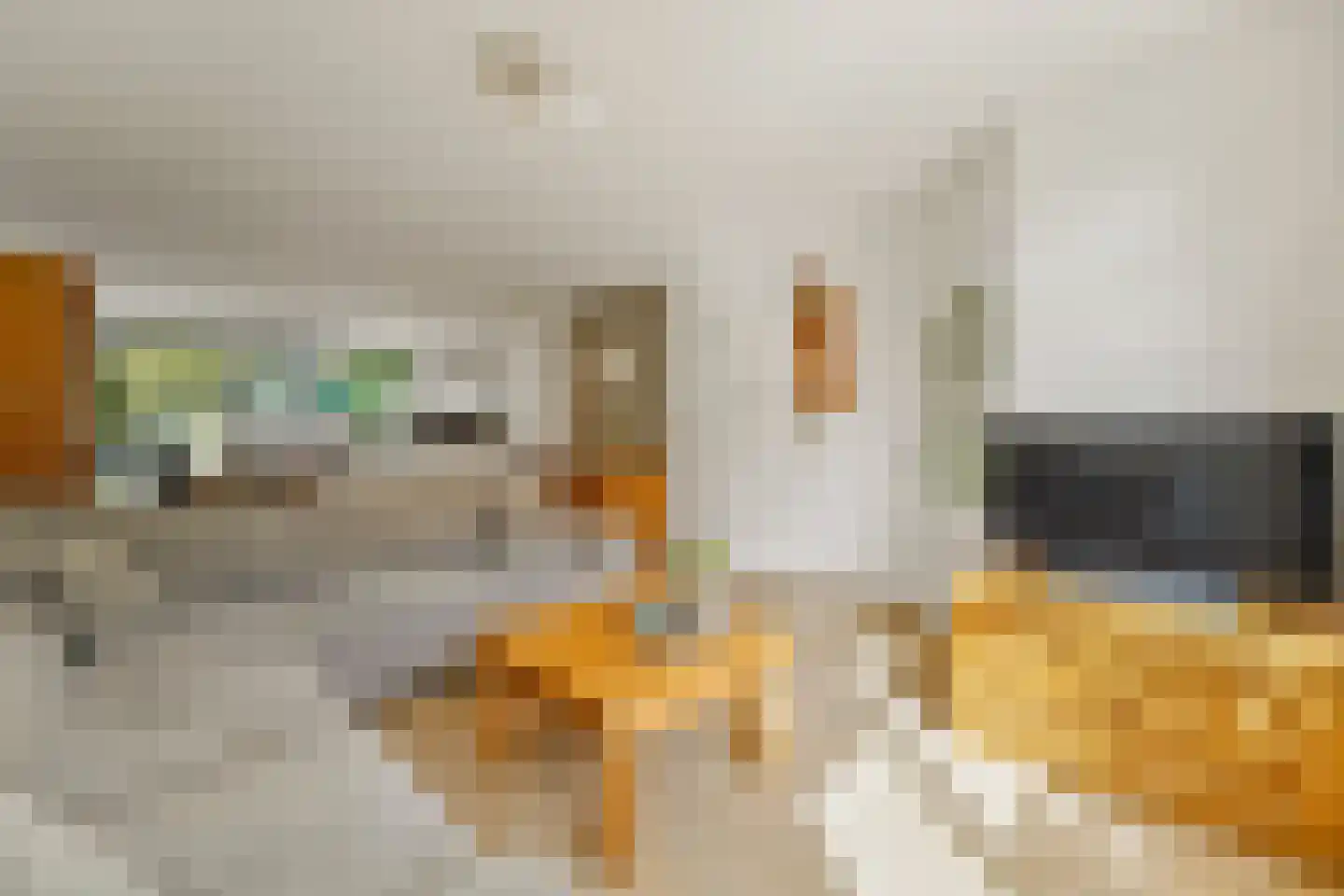 Heemraad 35 Maasland thumbnail 4