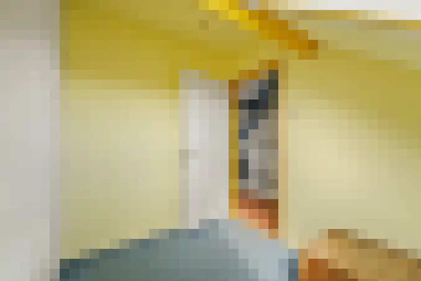 Heemraad 35 Maasland thumbnail 41