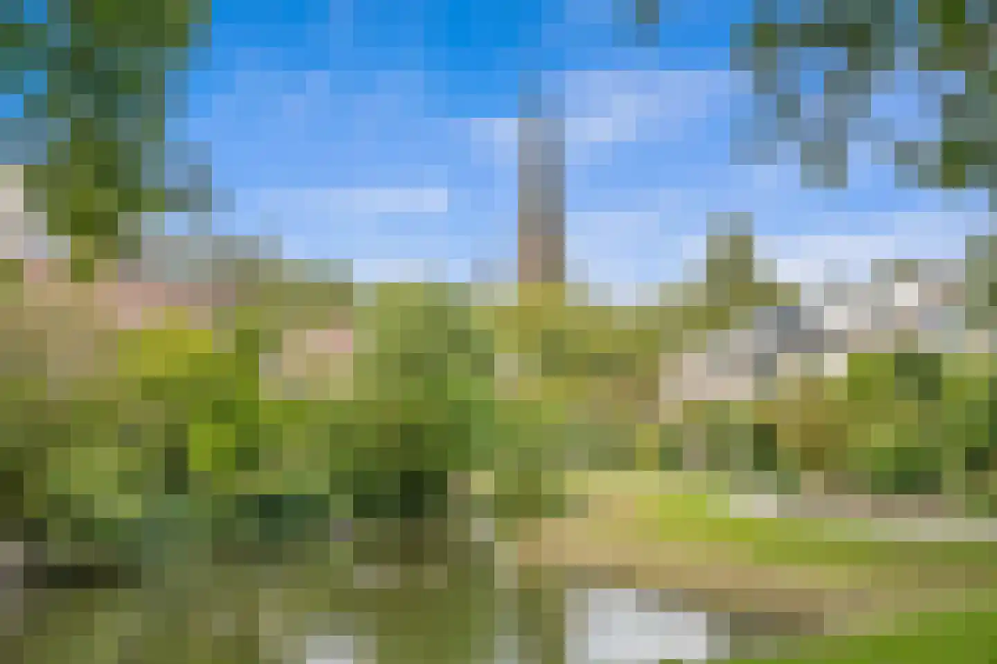 Heemraad 35 Maasland thumbnail 49