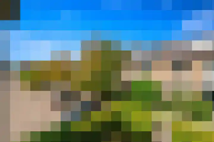 Heemraad 36 Maasland thumbnail 35