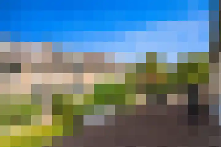 Heemraad 36 Maasland thumbnail 36