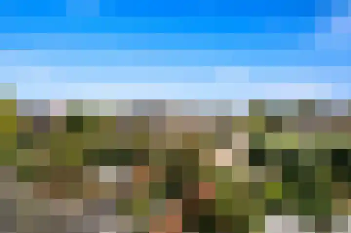 Heemraad 36 Maasland thumbnail 42