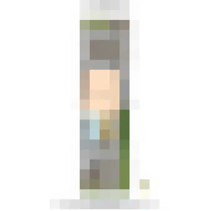 Heemraad 36 Maasland thumbnail 44