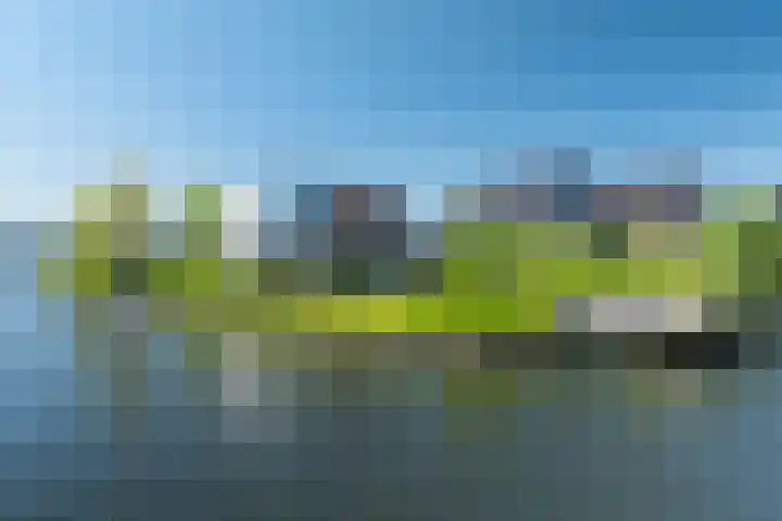 Heemraad 38 Meerstad