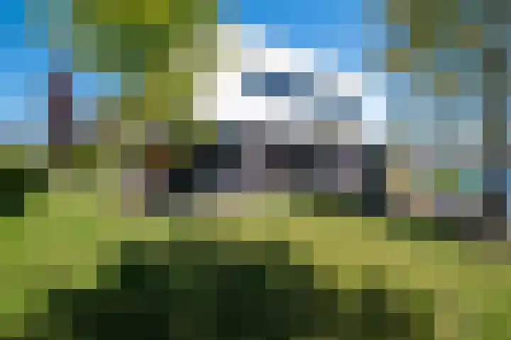 Heemraad 38 Meerstad thumbnail 56