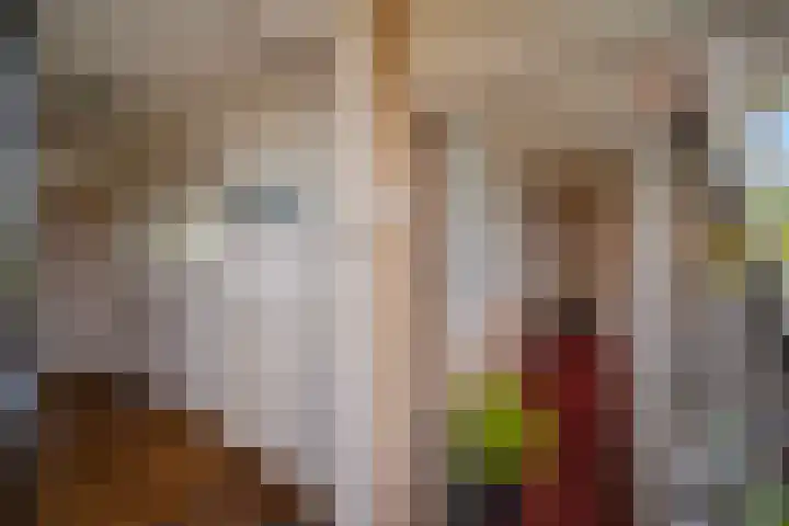 Heemraad 38 Zwijndrecht thumbnail 13