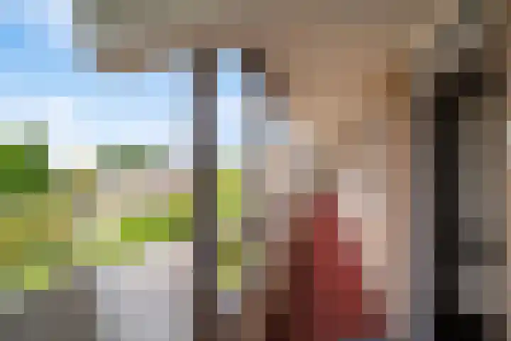 Heemraad 38 Zwijndrecht thumbnail 7