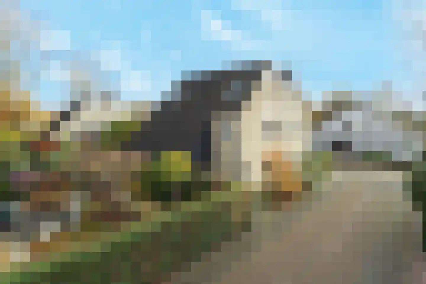 Heemraad 41 Zwijndrecht thumbnail 6