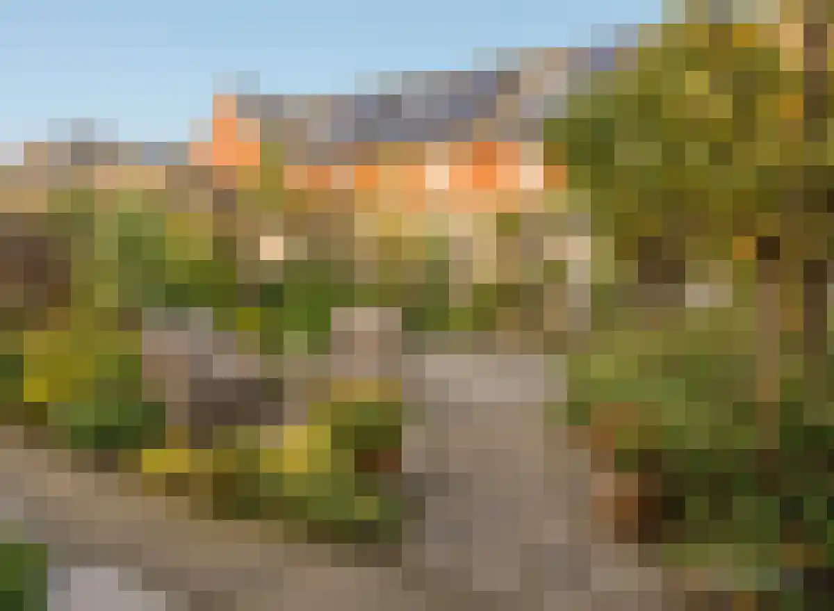 Heemraad 5 Zierikzee thumbnail 26