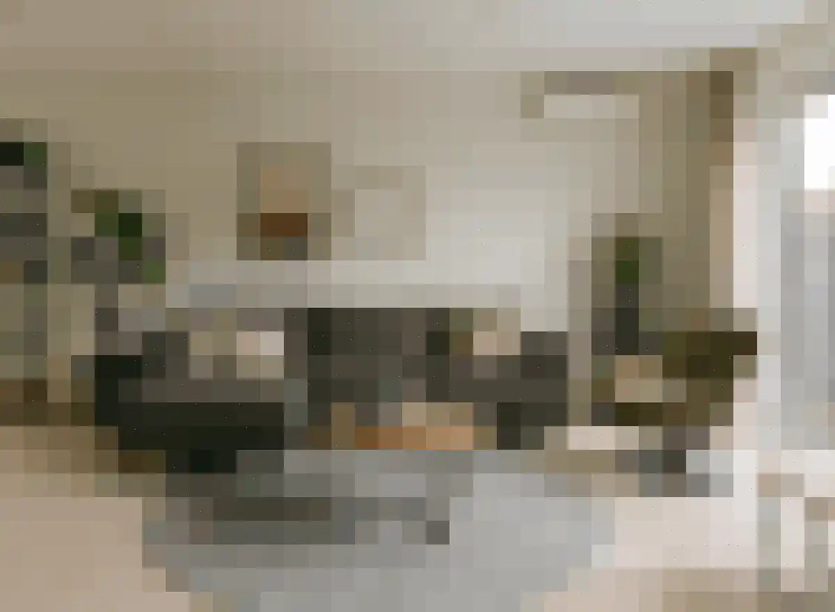 Heemraad 5 Zierikzee thumbnail 5