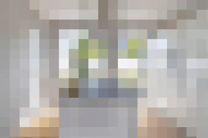 Heemraad 60 Zwaag thumbnail 13