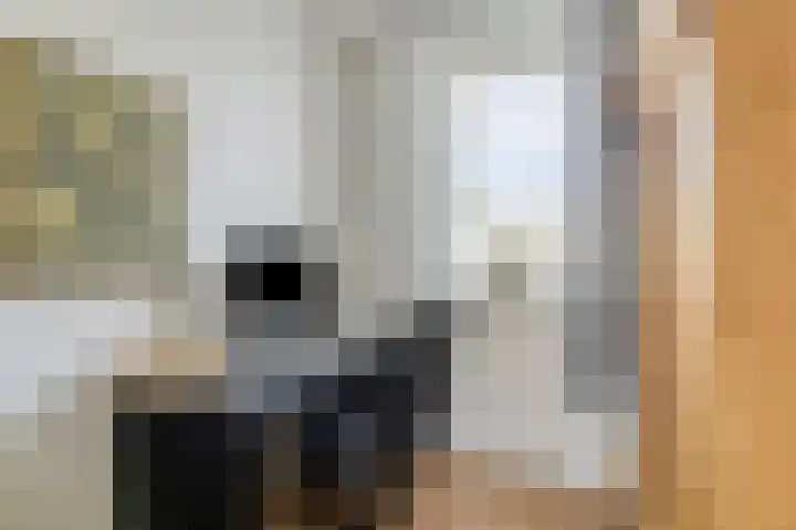 Heemraad 60 Zwaag thumbnail 20
