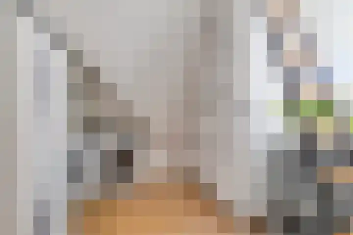 Heemraad 60 Zwaag thumbnail 23