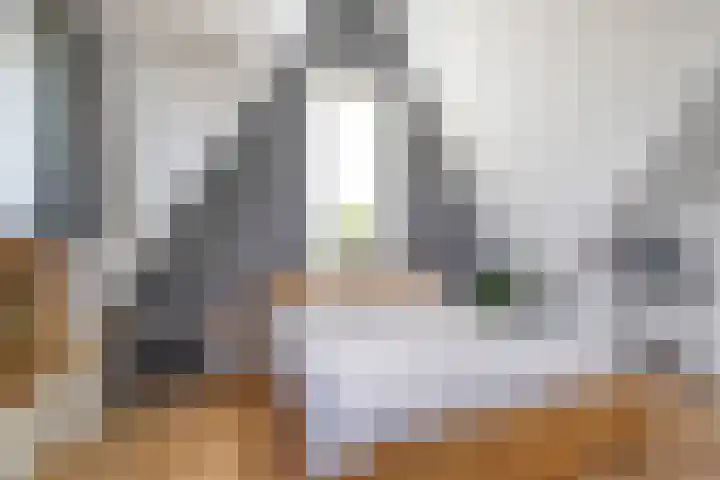 Heemraad 60 Zwaag thumbnail 24