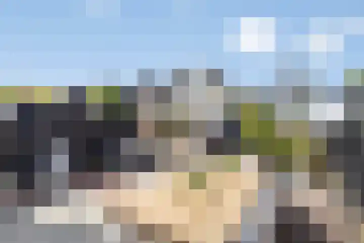 Heemraad 60 Zwaag thumbnail 27