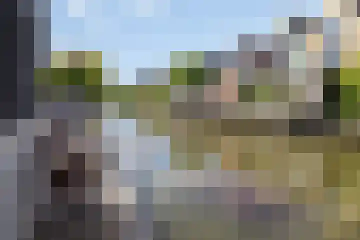 Heemraad 60 Zwaag thumbnail 28