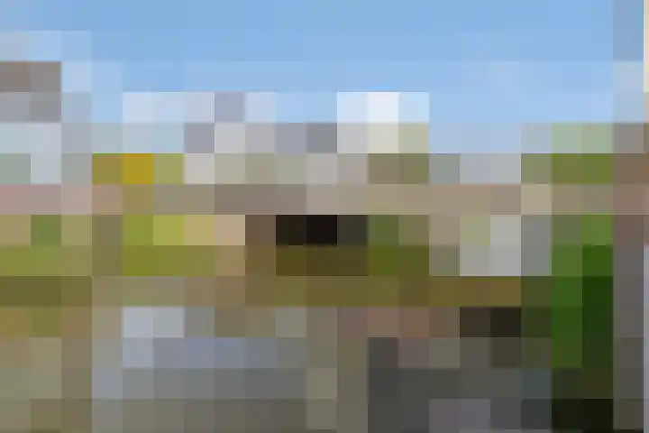 Heemraad 60 Zwaag thumbnail 29