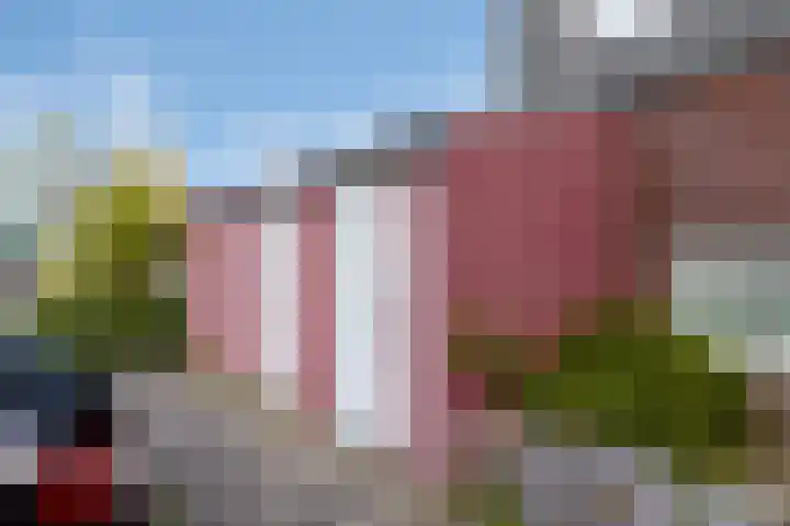 Heemraad 60 Zwaag thumbnail 31