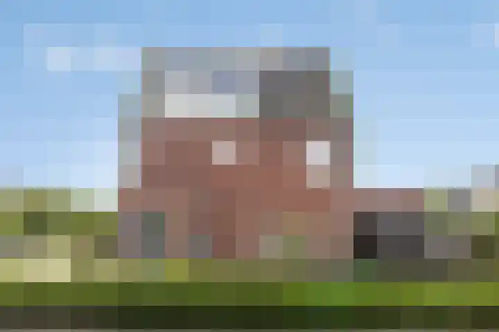 Heemraad 60 Zwaag thumbnail 32